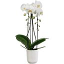 Doniczka - vibes fold orchidee wysoka 12,5 cm - jedwabista biel