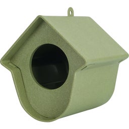 Singing Friend Bird Feeder - Evie - Green