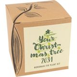 "Your Christmas-Tree 2029" karácsonyfa termesztő szett