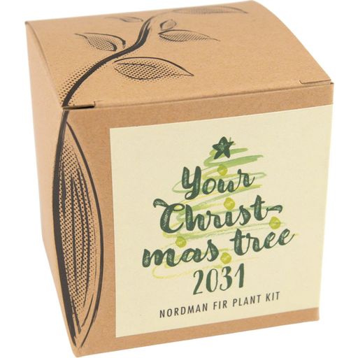 Kit de Culture - Your Christmas-Tree 2029 - 1 kit
