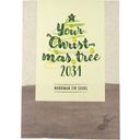 Your Christmas Tree - Zaden van de Nordmann spar - 1 Verpakking