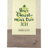 "Your Christmas-Tree 2029" nordmann fenyő mag szett