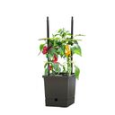 Tomato Pot With Self-Watering System & Flexible Climbing Support - 1 Set