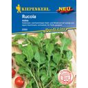 Kiepenkerl Rucola - Astra - 1 conf.