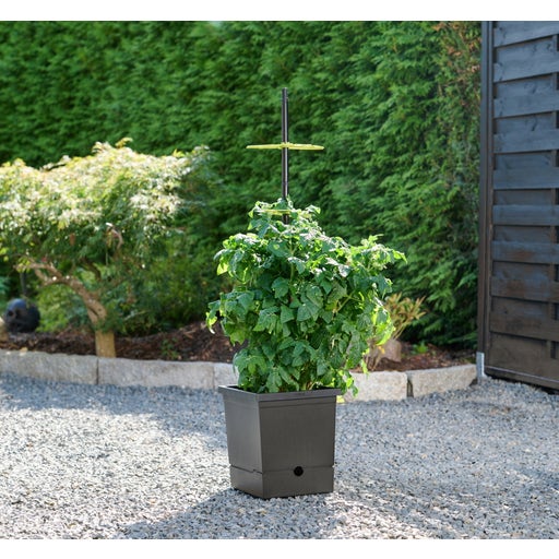 Romberg Tomatentopf mit Selbstbewässerung &amp; flexibler Rankhilfe, 1 Set ...