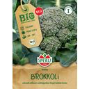 Sperli Bio brokoli Bobby