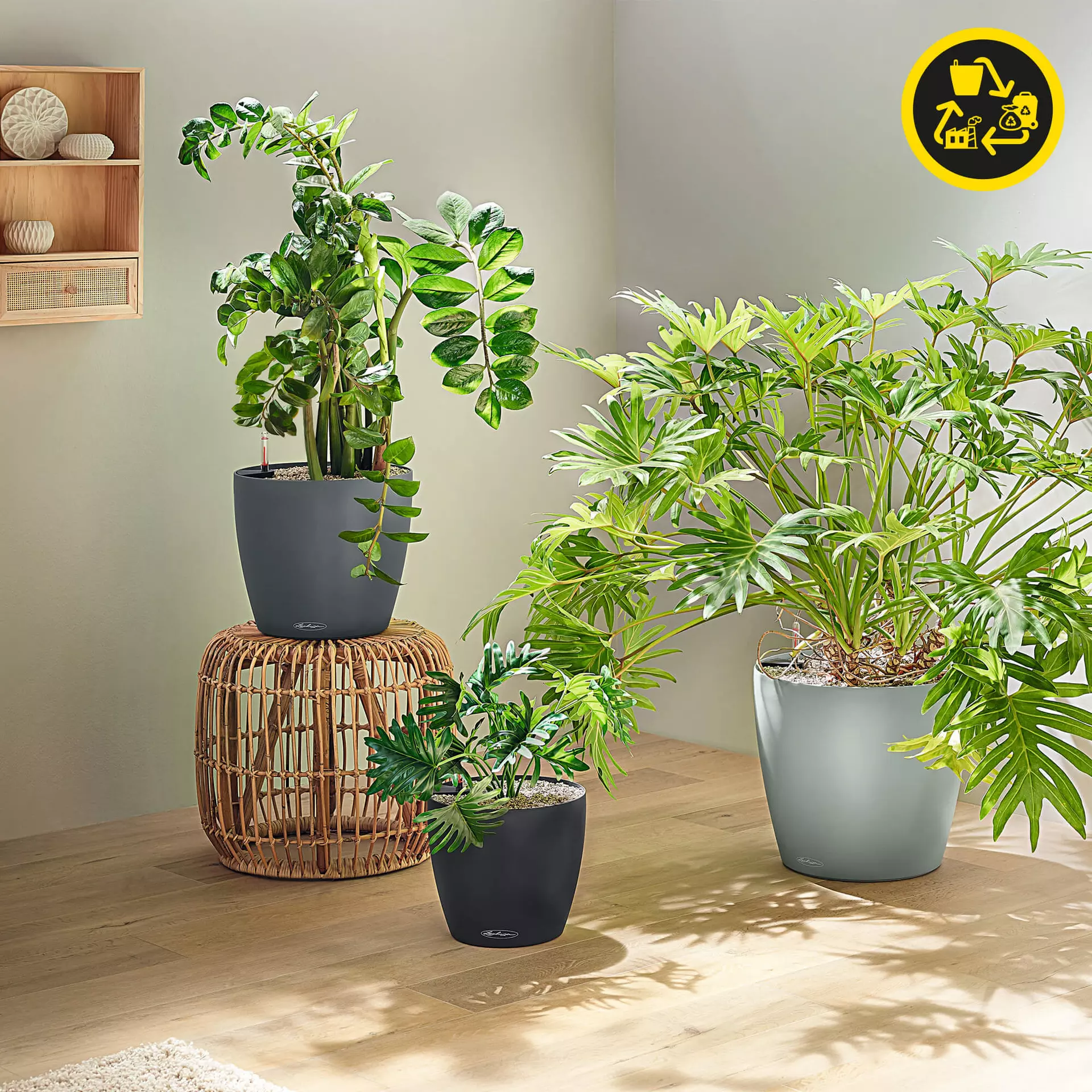Lechuza Planter CLASSICO Color 43