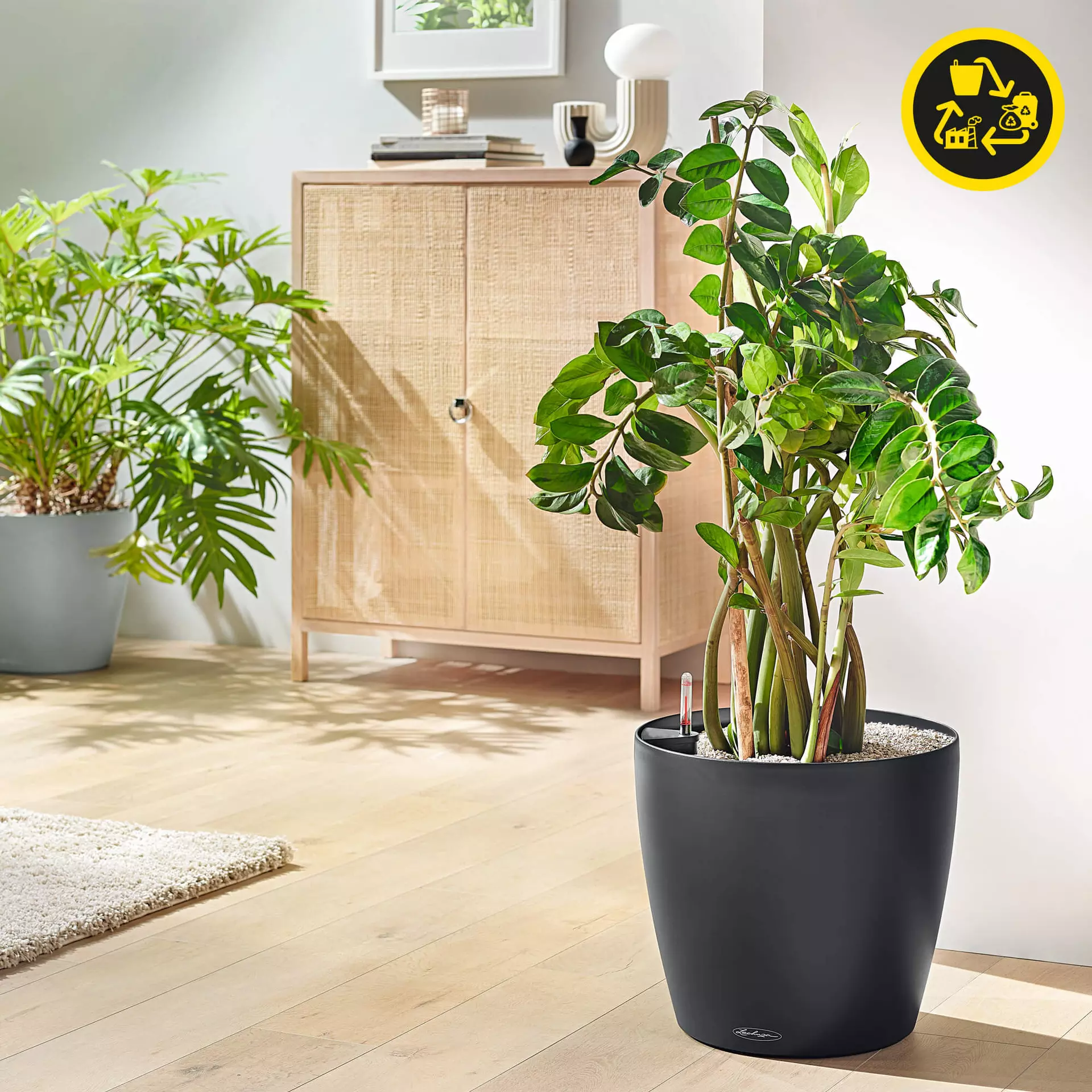 Lechuza Planter CLASSICO Color 43