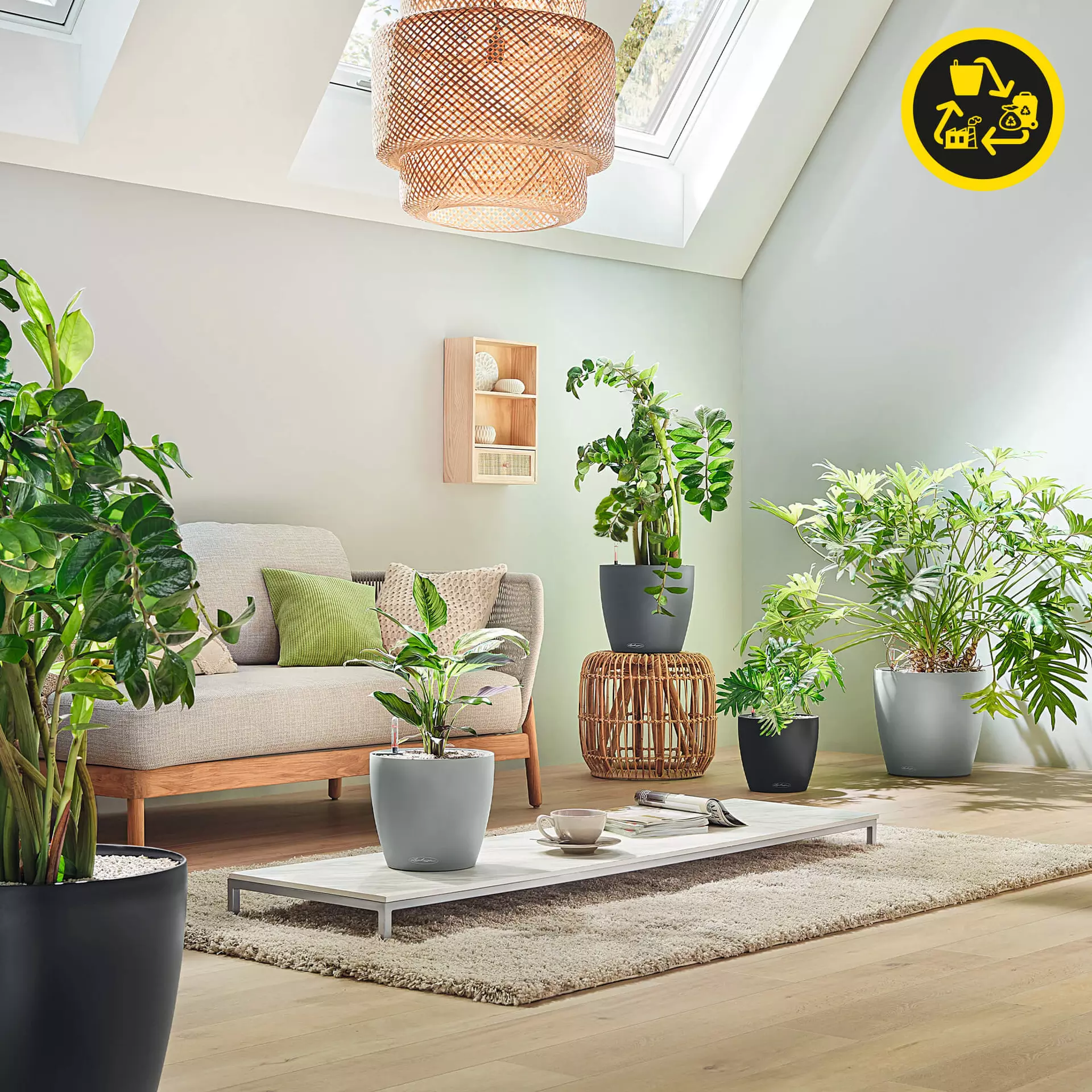 Lechuza Planter CLASSICO Color 43
