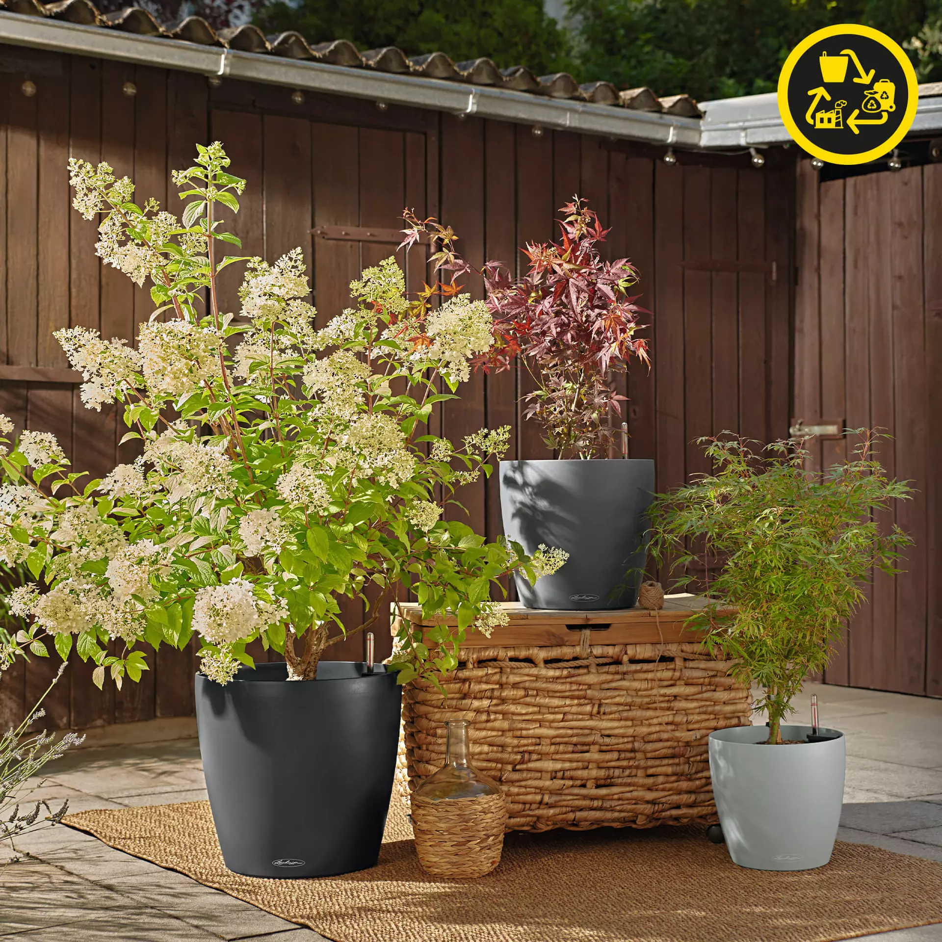 Lechuza Pot CLASSICO Color 60