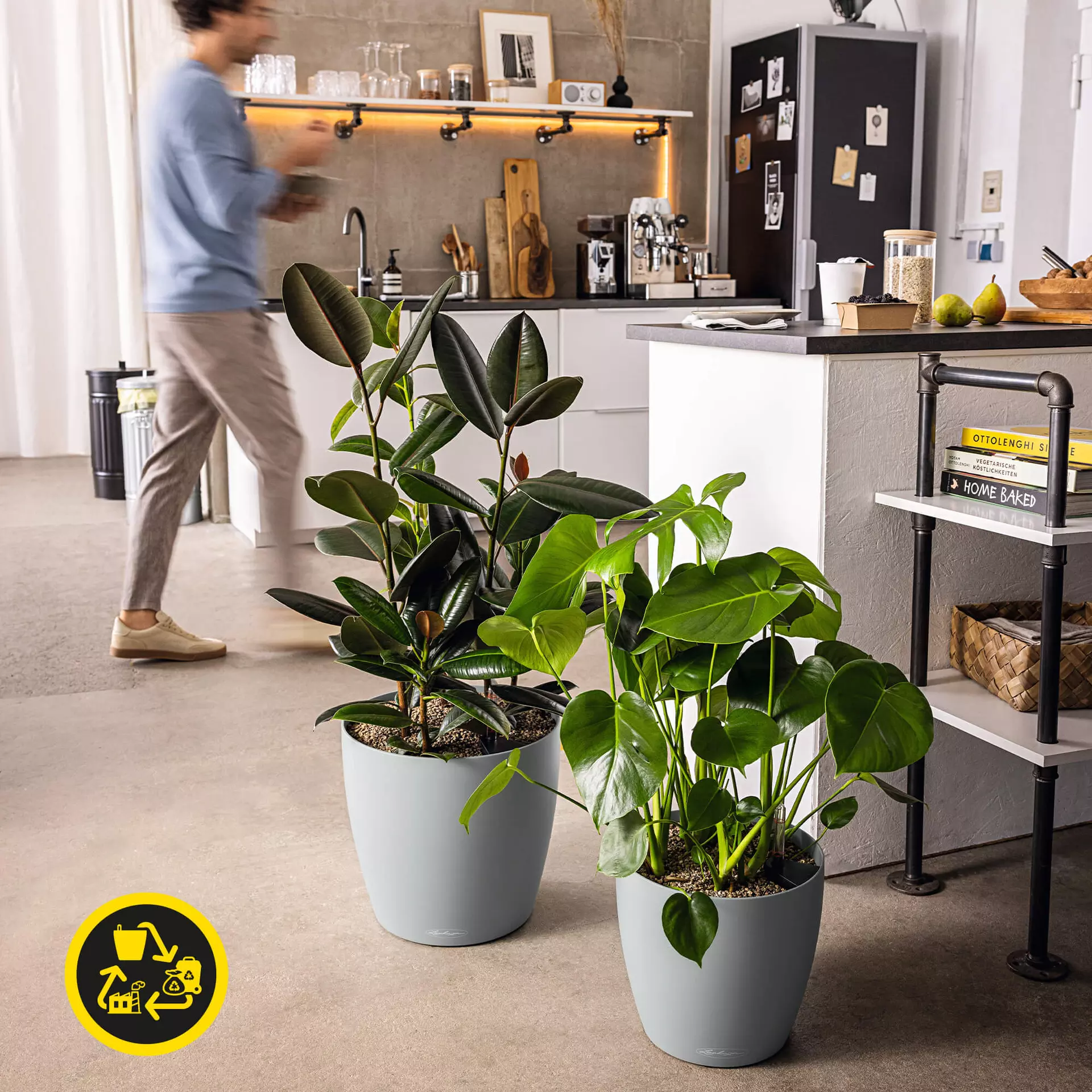 Lechuza Pot CLASSICO Color 60
