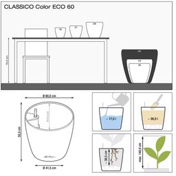 Lechuza Lonec za rastline CLASSICO Color ECO 60