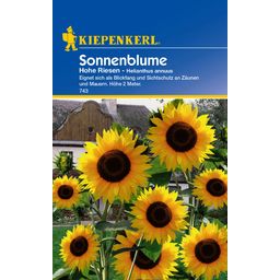 Kiepenkerl Sonnenblume Hohe Riesen - 1 Pkg