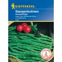 Kiepenkerl Stangenbohne Neckarkönigin - 1 Pkg