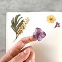 Botanopia Sticker Sheet - Pressed Flowers - Rainbow