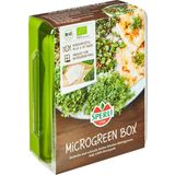 Sperli Bio Microgreen Box, zestaw do uprawy