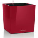 Lechuza Vaso - CUBE Premium 30 - rosso scarlatto lucido 