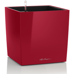 Lechuza Vaso - CUBE Premium 30 - rosso scarlatto lucido 
