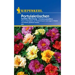Kiepenkerl Mix di Portulaca Grandiflora - 1 conf.