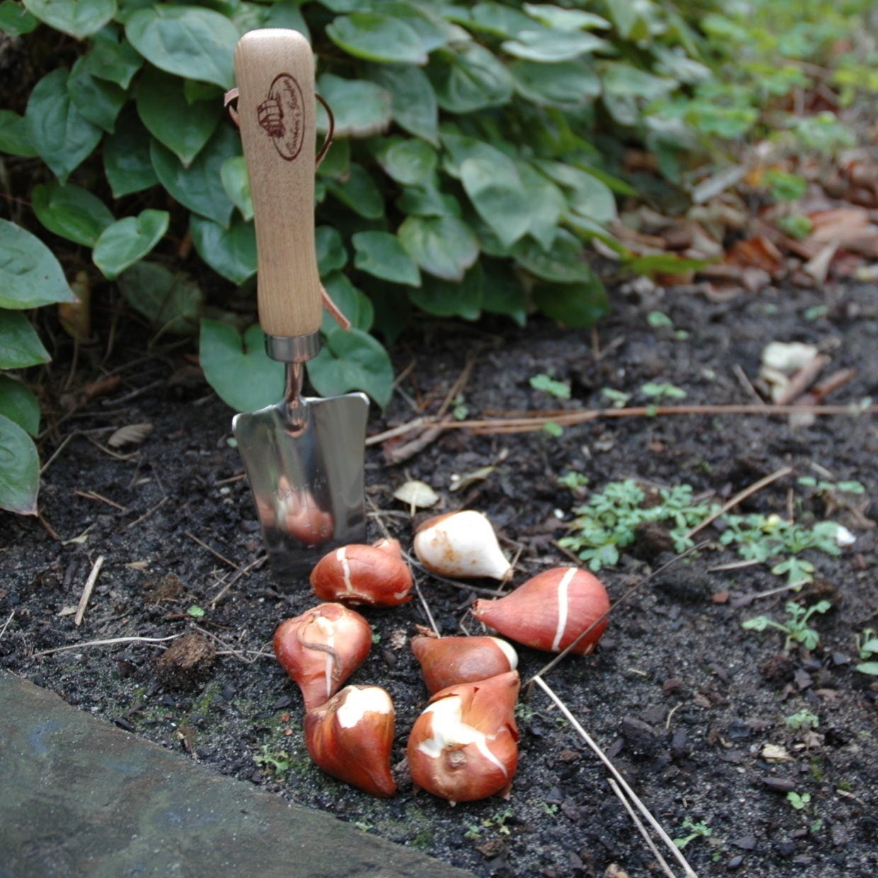 Esschert Design Transplanting Trowel