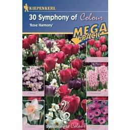 Kiepenkerl Symphony of Colors- Rose Harmony