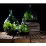 Esschert Design Garrafa para terr&aacute;rio