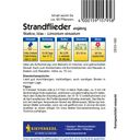 Kiepenkerl Strandflieder Statice - 1 Pkg