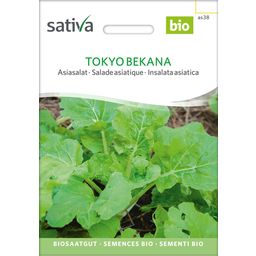 Sativa Biologische Aziatische sla Tokyo Bekana