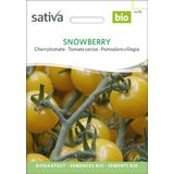Sativa Bio cherry paradajky "Snowberry"