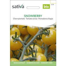 Sativa Bio češnjev paradižnik “Snowberry”
