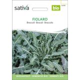 Sativa "Fiolaro" Bio brokkoli
