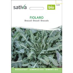 Sativa Brocoli Bio "Fiolaro"