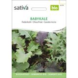 Sativa "Babykale" Bio fodros kel