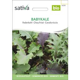 Sativa Bio Federkohl "Babykale"