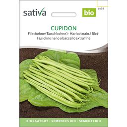 Sativa Bio Filetbohne (Buschbohne) "Cupidon"
