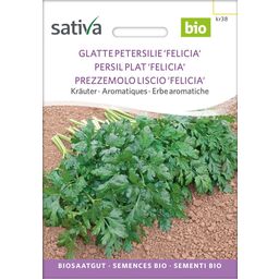 Sativa Bio zelišča “Gladki peteršilj Felicia”