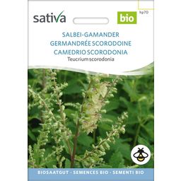 Sativa Gamander Bio zsálya
