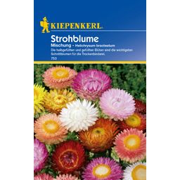 Kiepenkerl Strobloemen Mix - 1 Verpakking