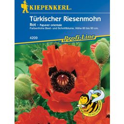Kiepenkerl Türkischer Riesemohn Olympiafeuer - 1 Pkg
