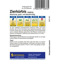 Kiepenkerl Sierpompoenen - 1 Verpakking