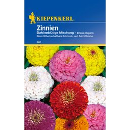 Kiepenkerl Zinnie - Mix di Fiori a Dalia