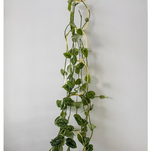 Botanopia Treille pour Plantes Grimpantes - Laiton