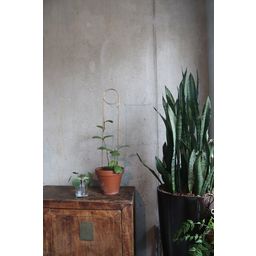 Botanopia Plant Support - Pin