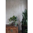 Botanopia Plant Support - Zig Zag