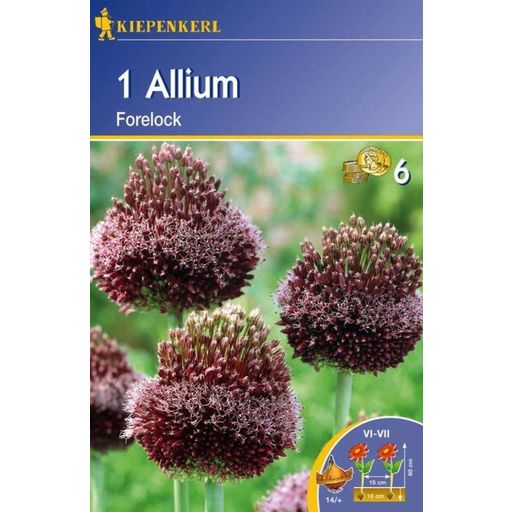 Kiepenkerl Allium- 