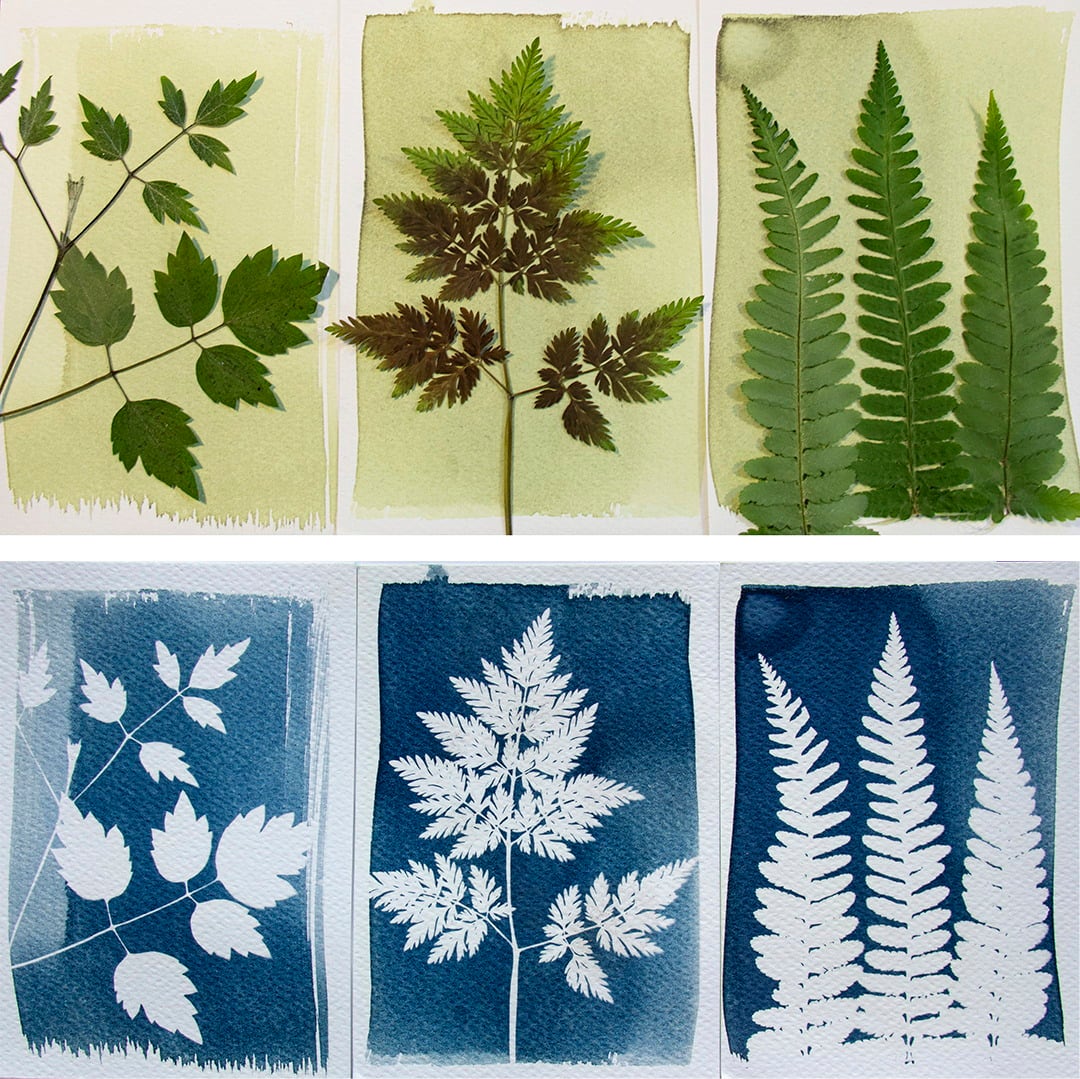 Botanopia Komplet 