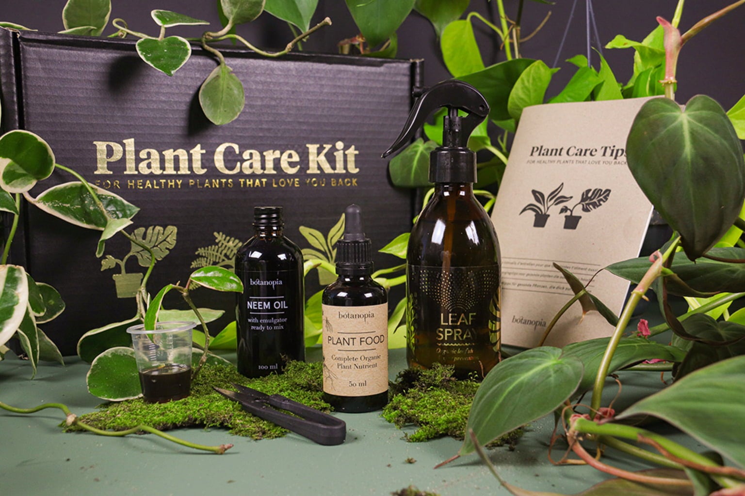 Botanopia Coffret d'Entretien pour Plantes