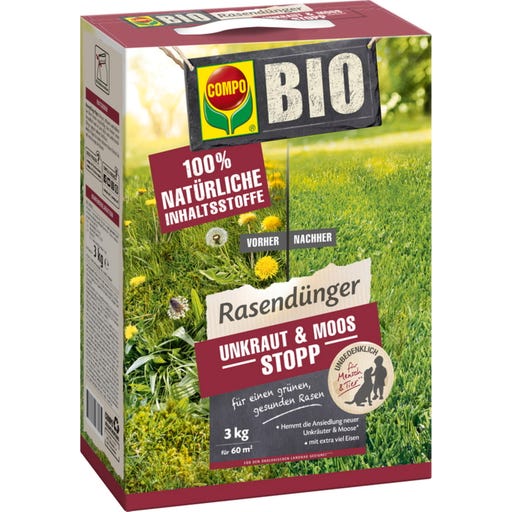 mexikanische minigurke saatgut Bio-Mexikanische Minigurke kaufen main image 1