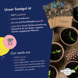 Seed Advent Calendar - Seeds for Vegetables, Herbs & Flowers