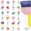 Adventni koledar za semena - semena zelenjave, zelišč in rož